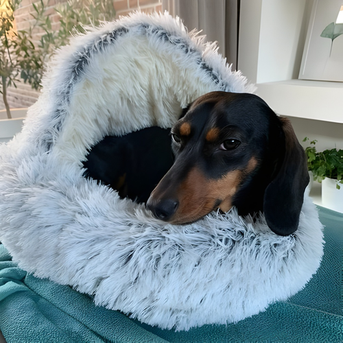 CozyNook Plush Fluffy Dog and Cats Round Bed