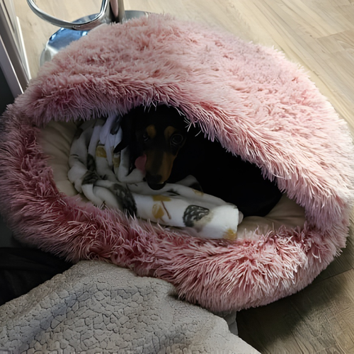CozyNook Plush Fluffy Dog and Cats Round Bed